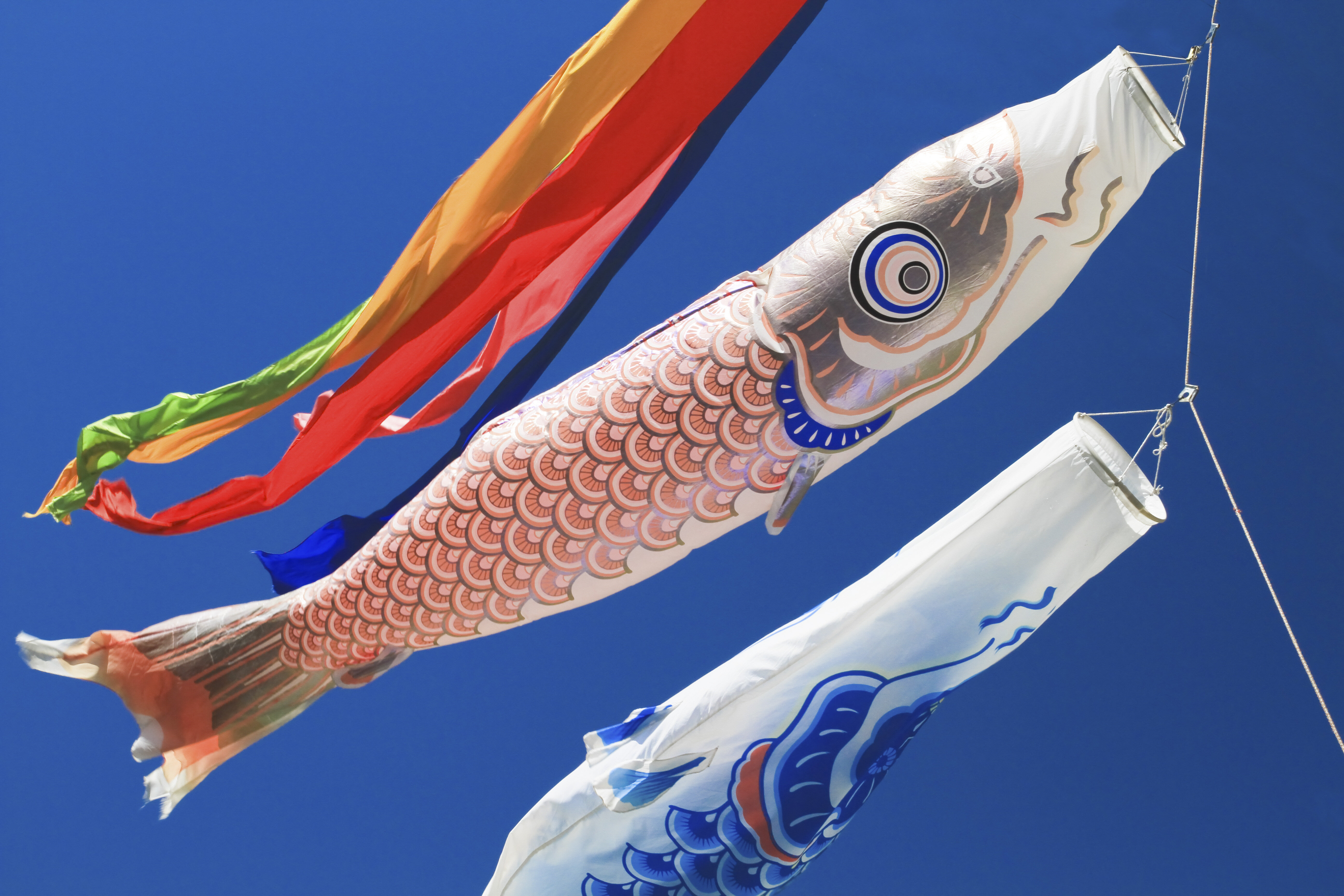 お子さまイベント