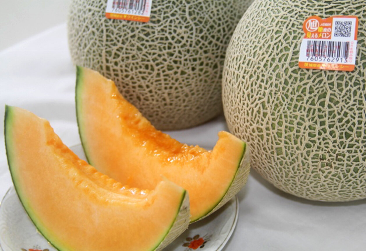 クインシーメロン